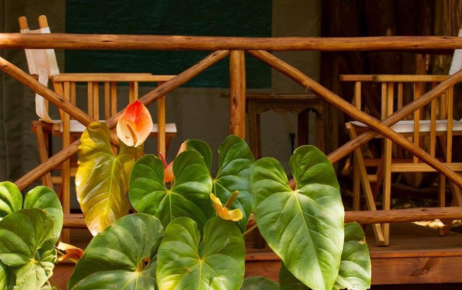 Simbamwenni Lodge And Camping Morogoro Exterior foto